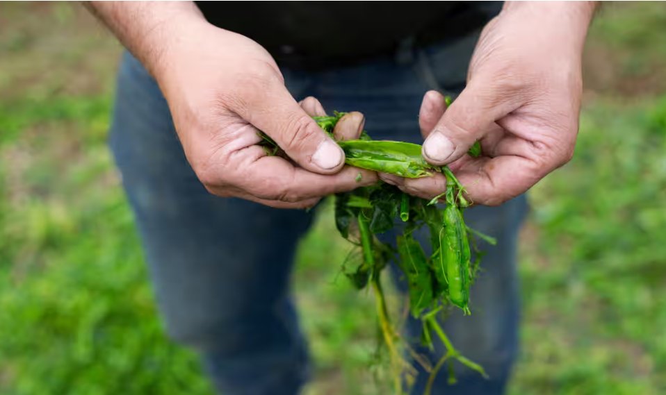 READ THE TOP STORIES OF THE DAY! - mailchi.mp/eb96ef5f921f/y…