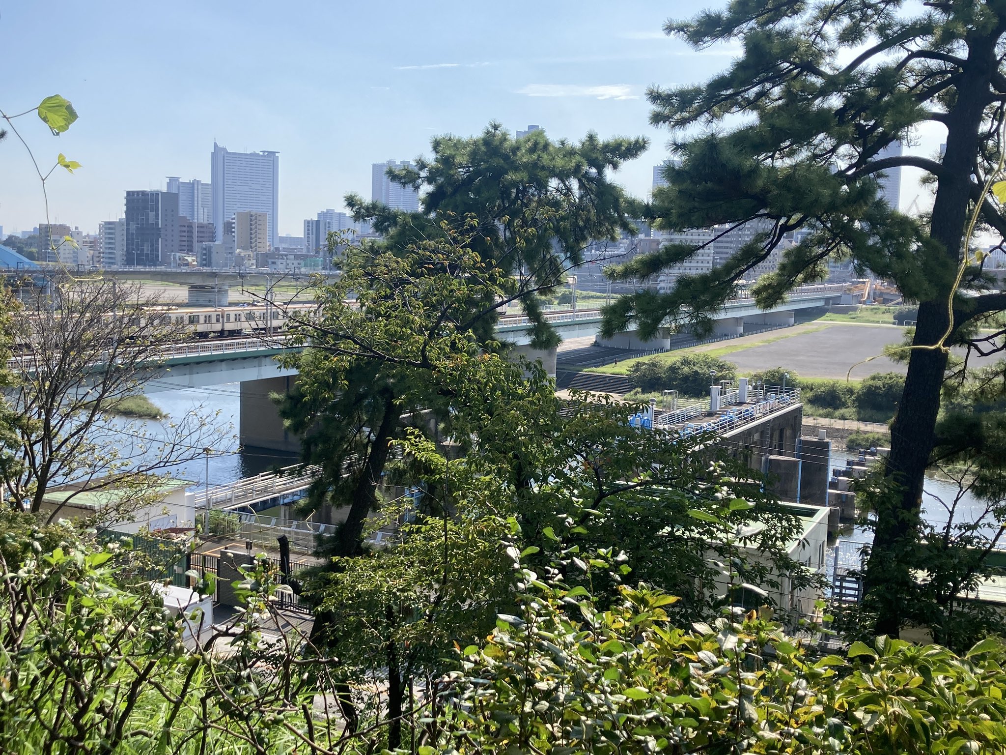 Johnny's - たぬきちページ たぬきち (@tanukichi1go) / X