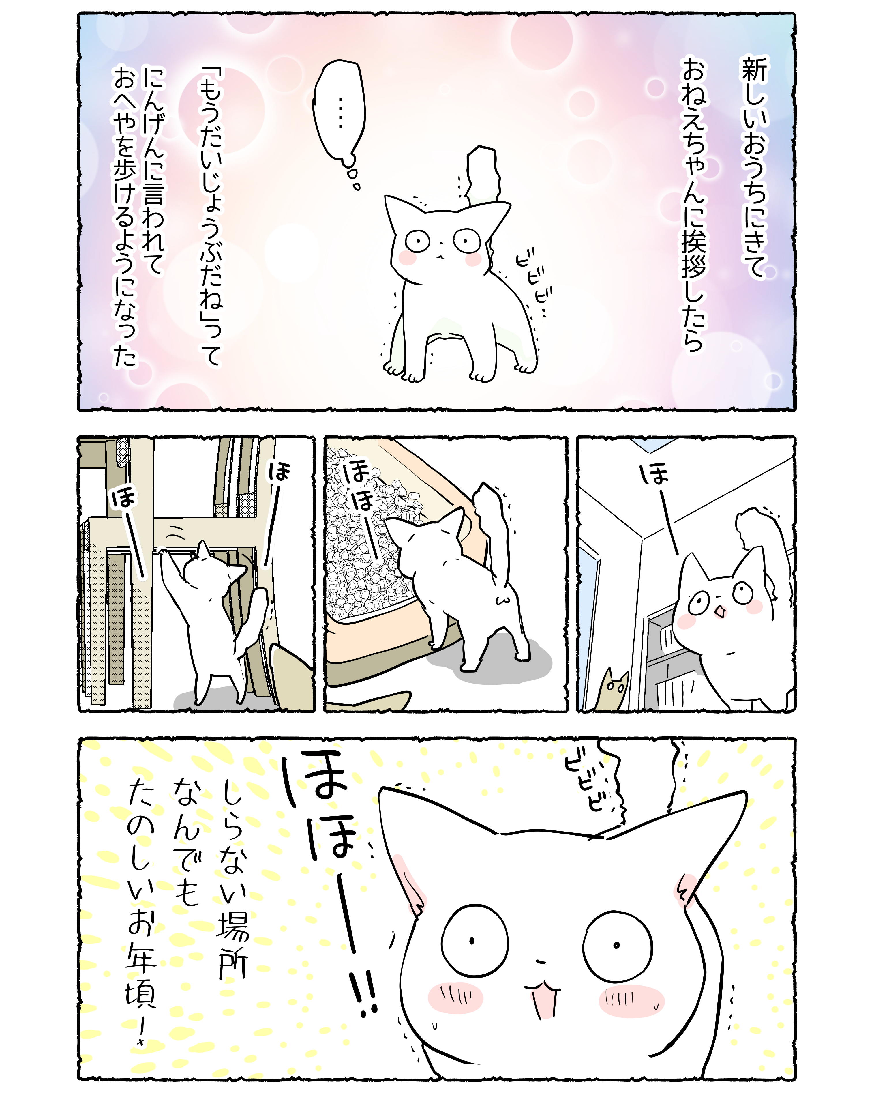 くらら🐾🐾 (@b_clala) / X