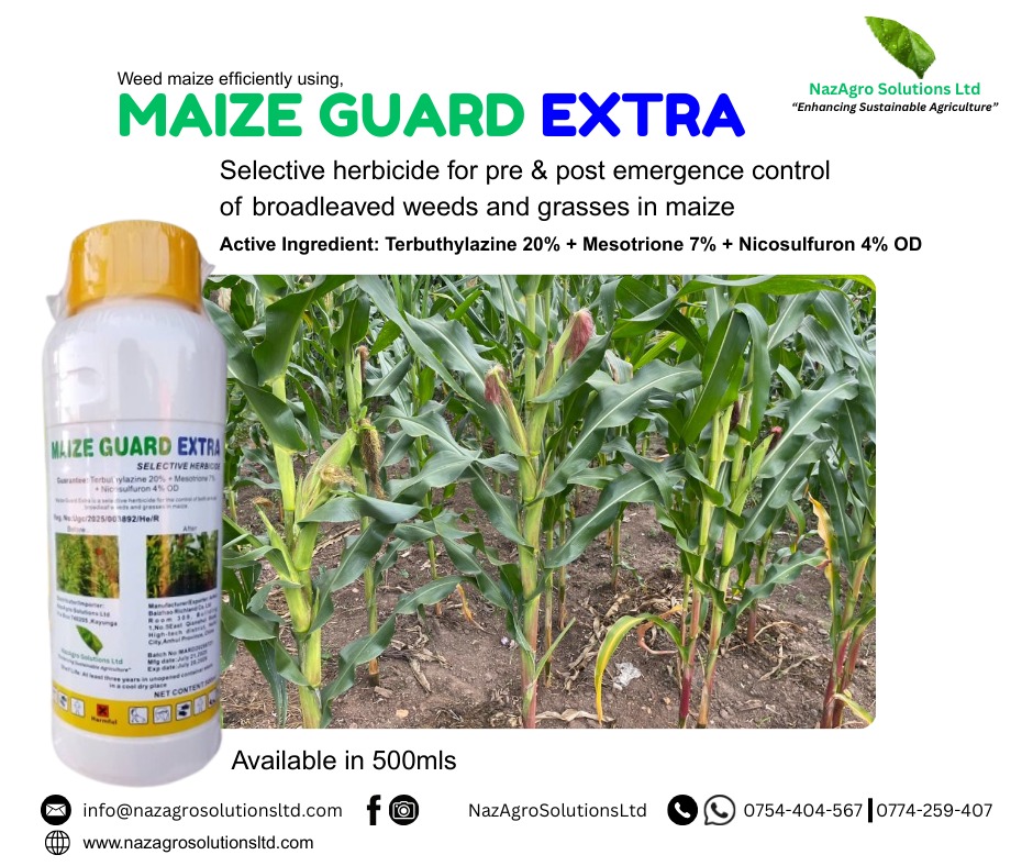Maize Guard Extra, a selective #herbicide for pre and post emergence control of grasses and broadleaf #weeds in #maize is available in 500mls from NazAgro Solutions ltd. Get it today from any agrodealer shop near you