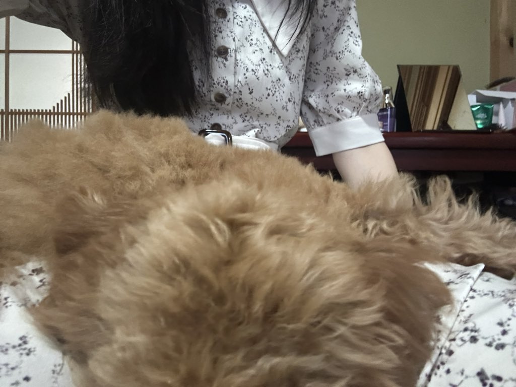 Mrorua0's tweet photo. 最近活発になってきてておもろい https://t.co/HSdlHzIkhq
