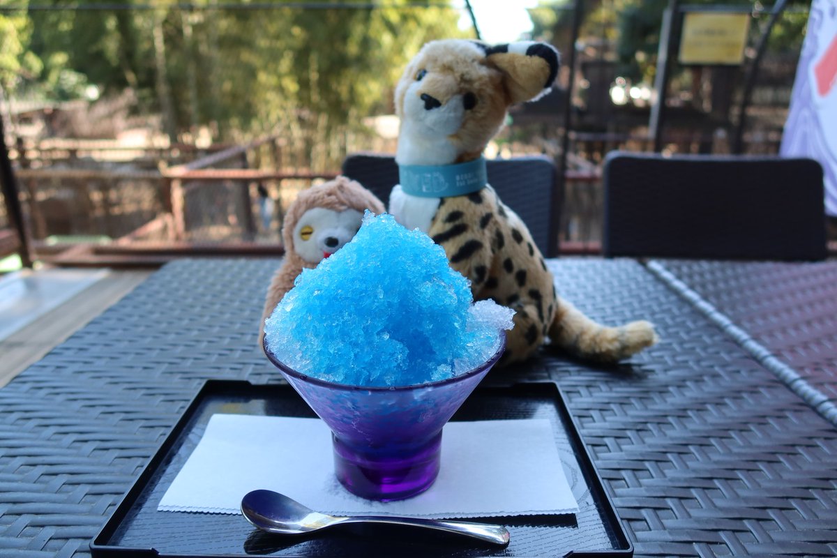 おまとめ　キリン、ゾウ、かき氷 おまとめ キリン、ゾウ、かき氷 楽天市場】【スーパーセール期間