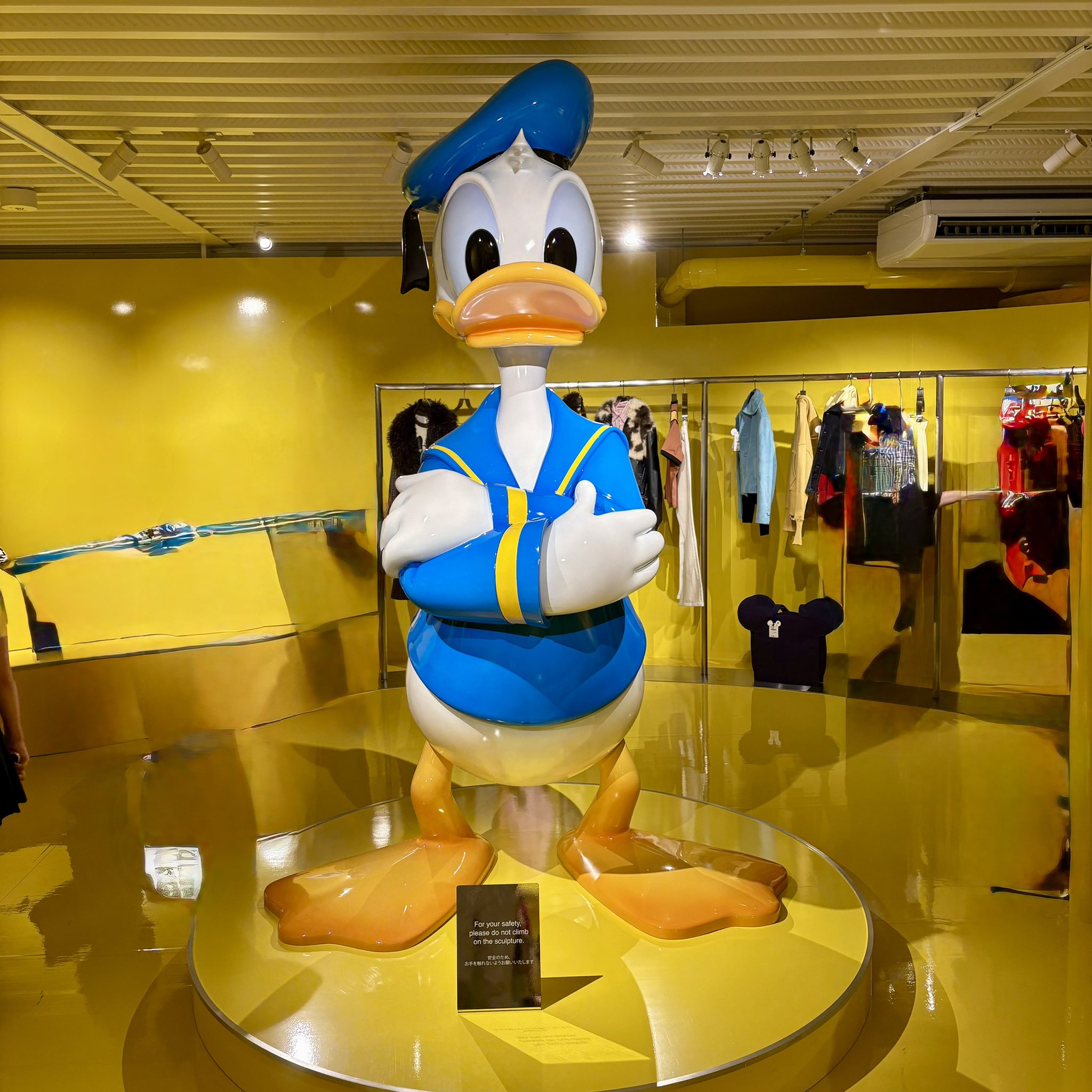 ZARA ポプリンシャツ パッド入りネック ハリーランバート ディズニー