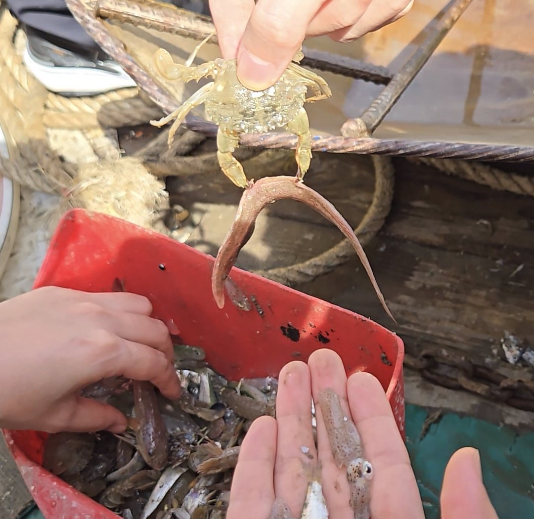 昨天被魚狠狠地打了，今天就這樣出海狠狠打魚