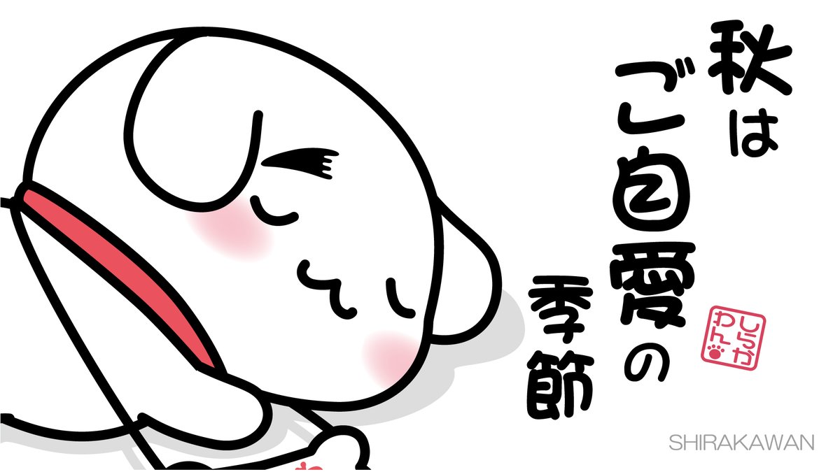 あーちゃん（12/26うまれ） (@giii3_u) / Posts / X