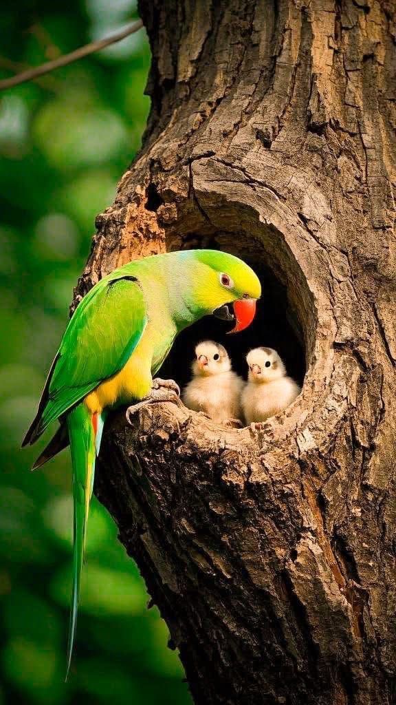 "வெள்ளிக் கிழமை ரிலீஸ் ஆகிற புதுப்படத்துக்கெல்லாம் உங்களைக் கூட்டிப் போக முடியாது. நீங்க இன்னும் வளரலை!"