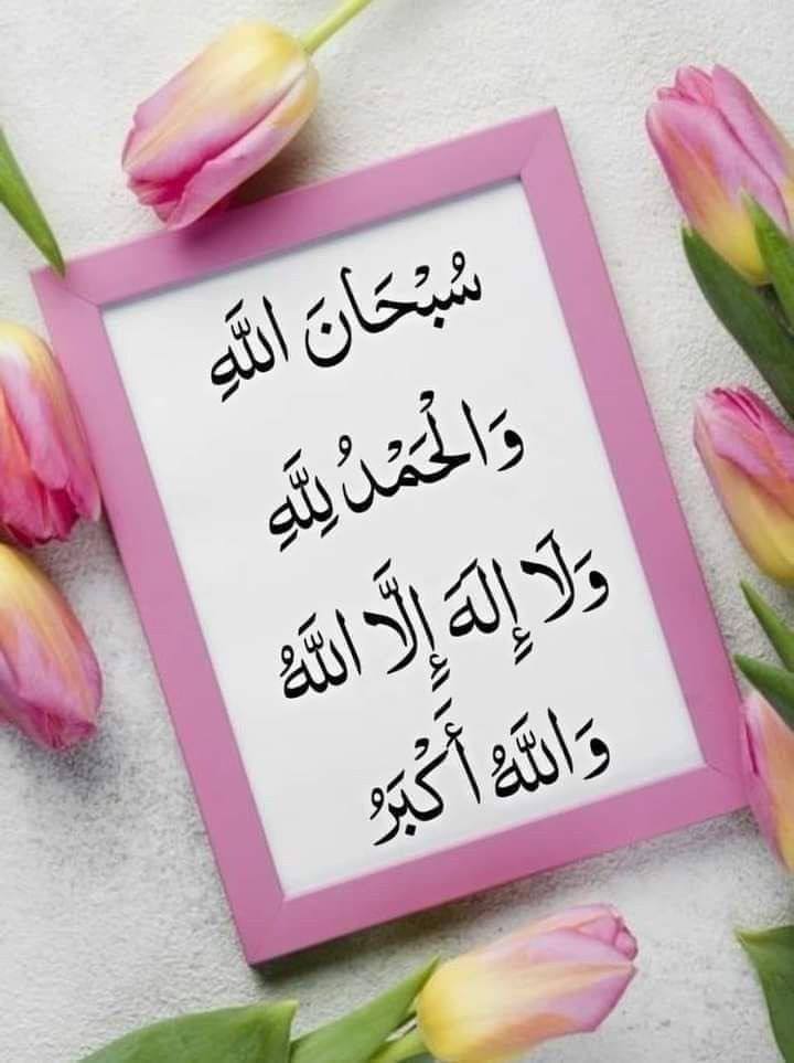 ●اذكروا الله يذكُركم🤍🌸

• سُبحان الله
• الحمدلله
• لا إله إلا الله
• اللهُ أكبر
•آستغفرالله العظيم وآتوب إليه
•لاحول ولاقوة الا بالله
•لاإله إلا انت سبحانك إني كنت من الظالمين
᷂اللَّهُمَّ،صَلِّ،وَسَـــلِّم،على،نَبِيِّنَـــا ᷂םבםב ❥ﷺ

#اوفيا_لسعادتكGp