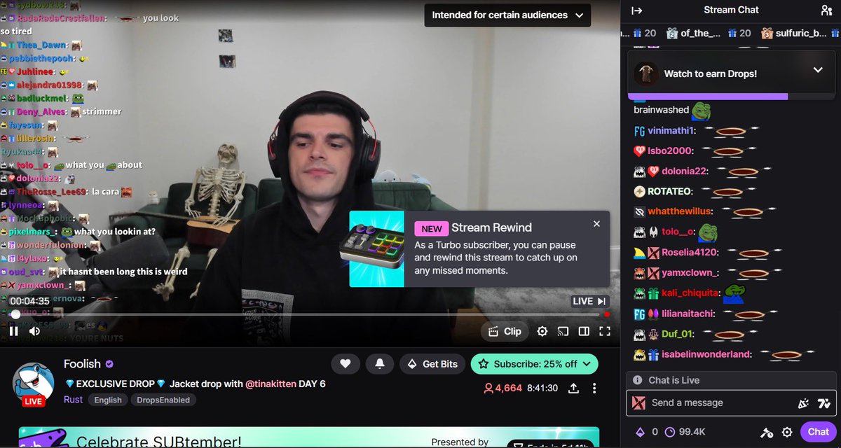 freenieeee's tweet image. twitch finally has a Stream Rewind feature! so if rae enables it on her channel, subs and turbo users can pause and rewind the stream :)