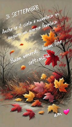 Buongiorno e buona giornata 🍂🍇