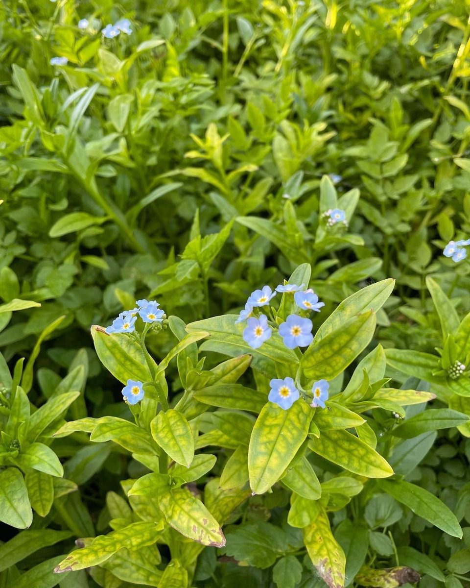 Quiet and beautiful ✨ 😌