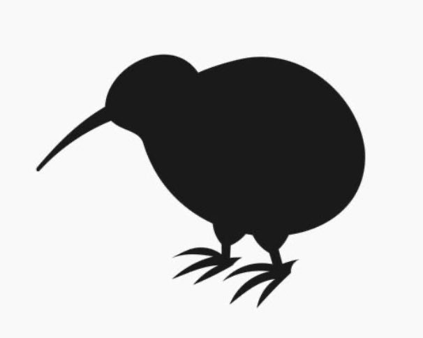 3枚目の写真キーウィにしか見えないって声多数🐤笑　違うよ。カニだよ🦀