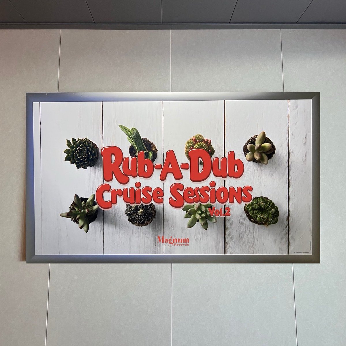 🚢New Release🚢

RUB A DUB SCHOOL ~CRUISE SESSIONS VOL.2 (feat. PUSHIM,J-REXXX,RUEED,JUMBO MAATCH,TAKAFIN,CORN HEAD,s;si,CORN BREAD,ANARCHY,RITTO,Jr.SANTA,Spinna B-ILL,RYO the SKYWALKER,ARARE,PAPA-B,卍LINE,Zeebra,PAPA U-Gee &amp; IVAN)
RUDEBWOY FACE &amp; KillaNami

Magnum Records
