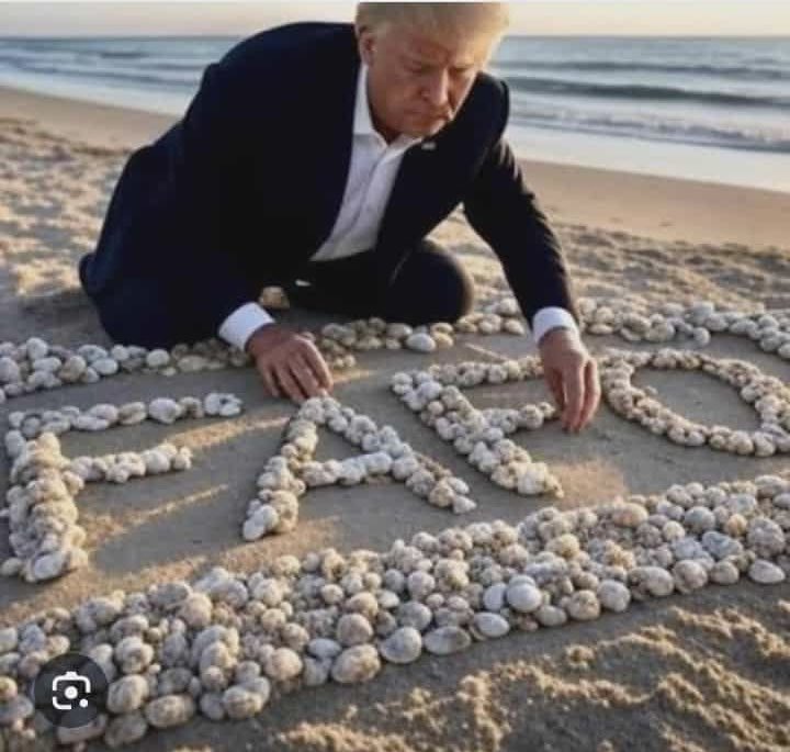 <a href="/libsoftiktok/">Libs of TikTok</a>