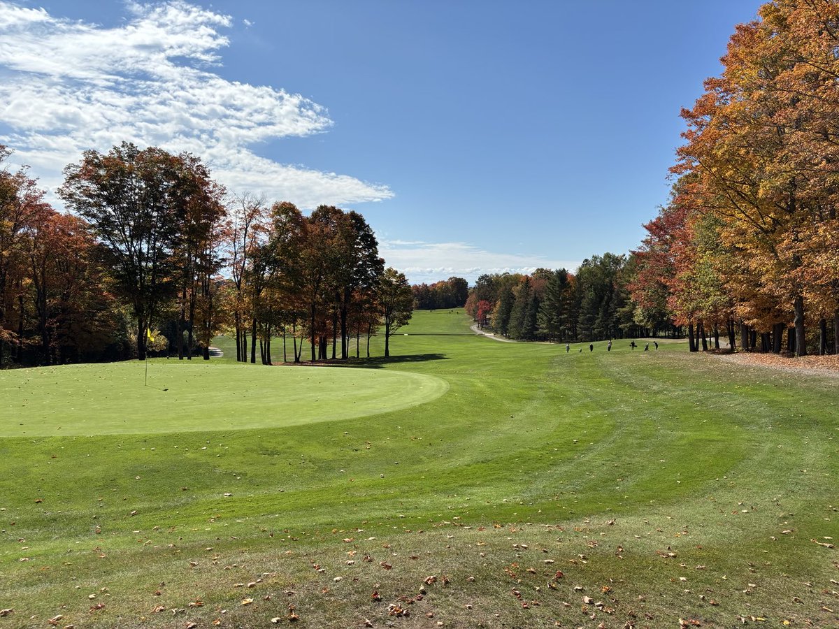 Cameron Culbert tweet media