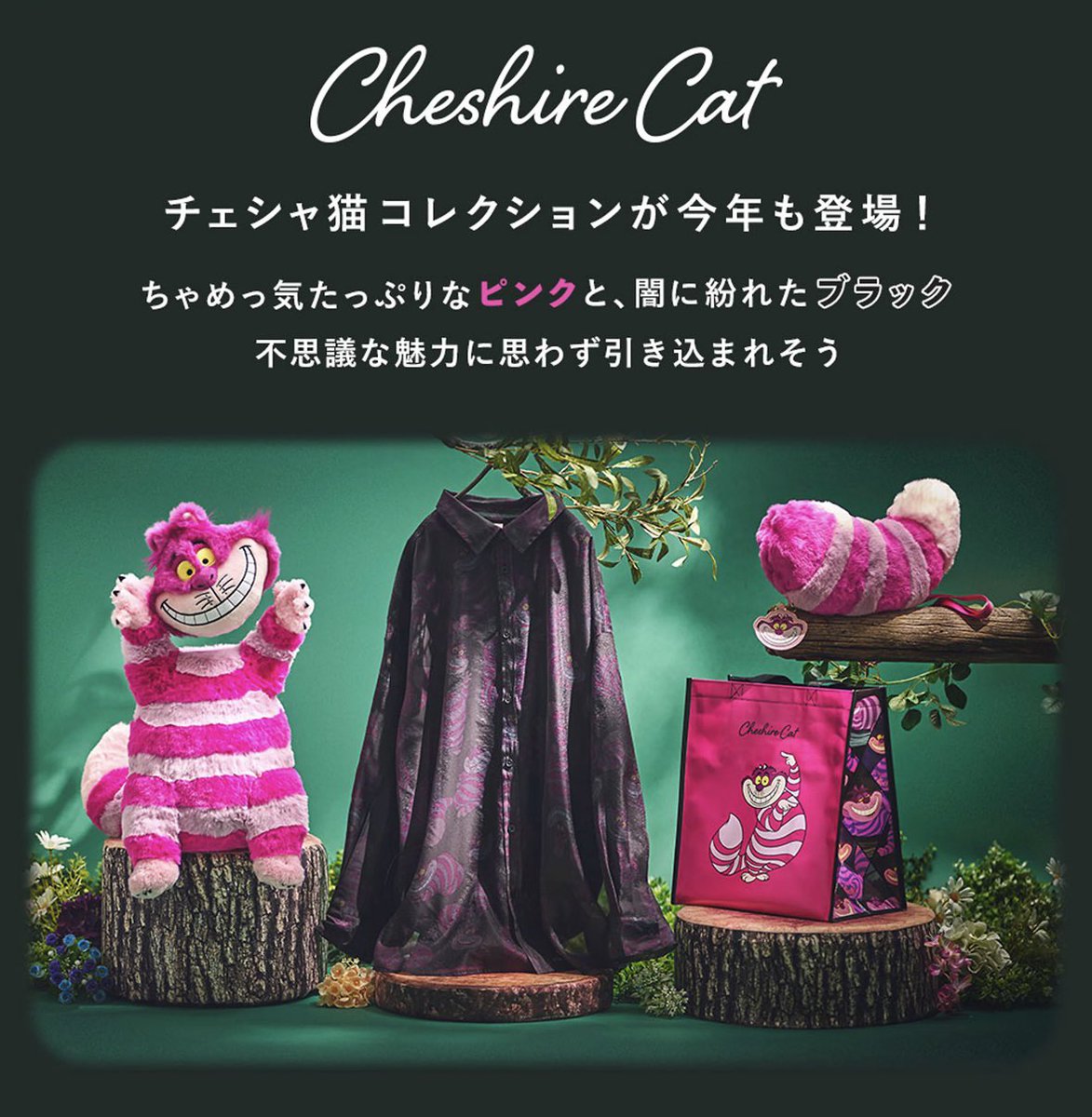 チェシャ猫さん☆キャンディ ドリームトミカ No.177 ディズニートミカパレード チェシャ猫
