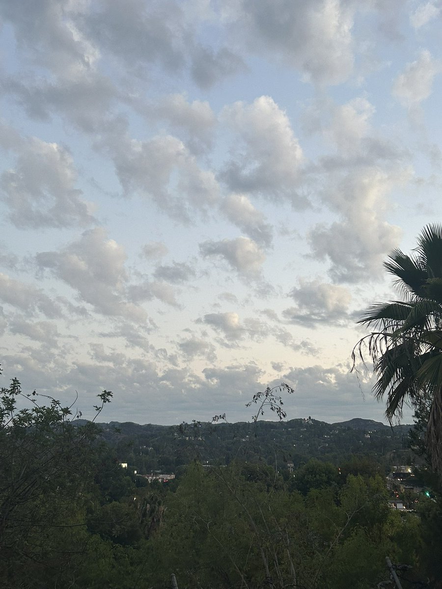 NotSmittyPDX's tweet image. Cali boy