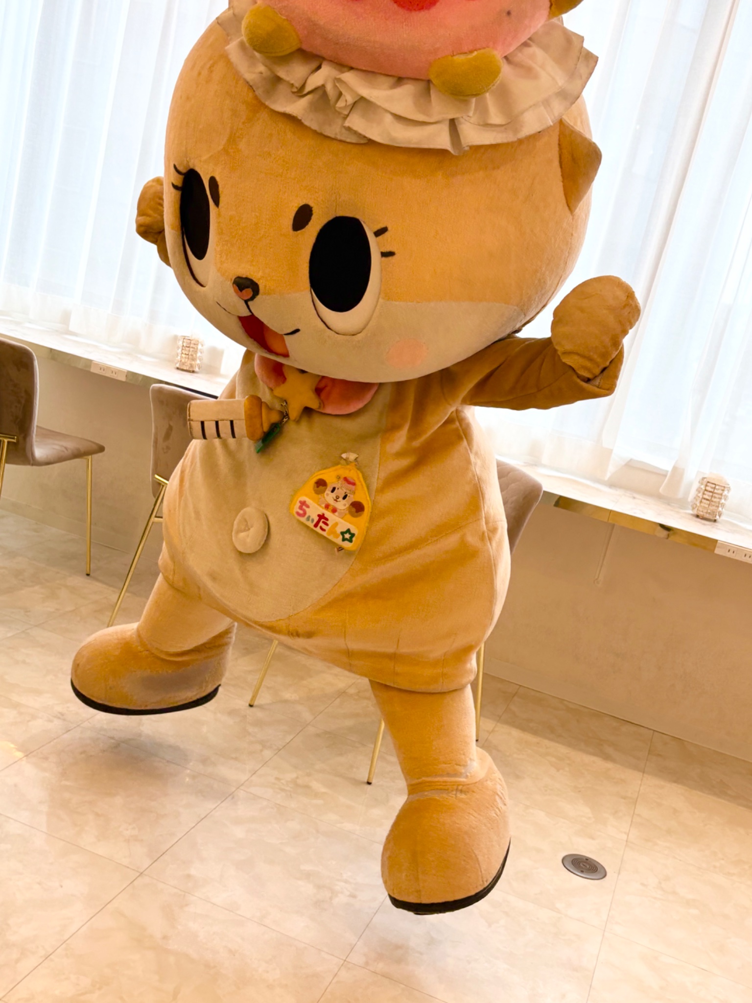 ☆ちーたん☆ カワウソちぃたん☆OFFICIAL WEB SITE