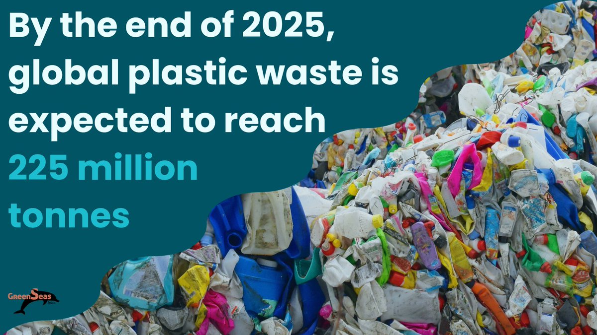 GreenseasOrg's tweet image. By the end of 2025, it is estimated that 225 million tonnes of plastic waste will be generated, equating to 28kg of waste per person.

1/3 will likely be dumped, burned or littered.

#GreenSeasTrust #PlasticWaste #PollutionCrisis #MarinePollution #WasteCrisis #Environment