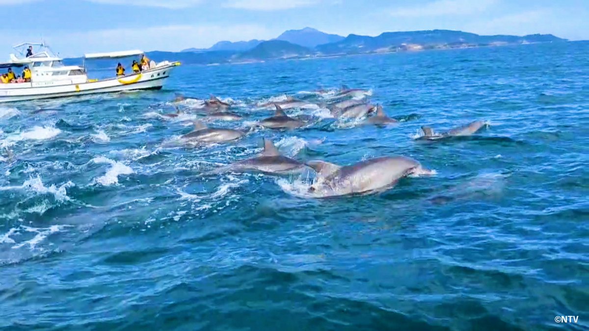 ◤#笑ってコラえて！2時間SP 10/4(土)よる7:00〜放送 ◢| ⋰ 所