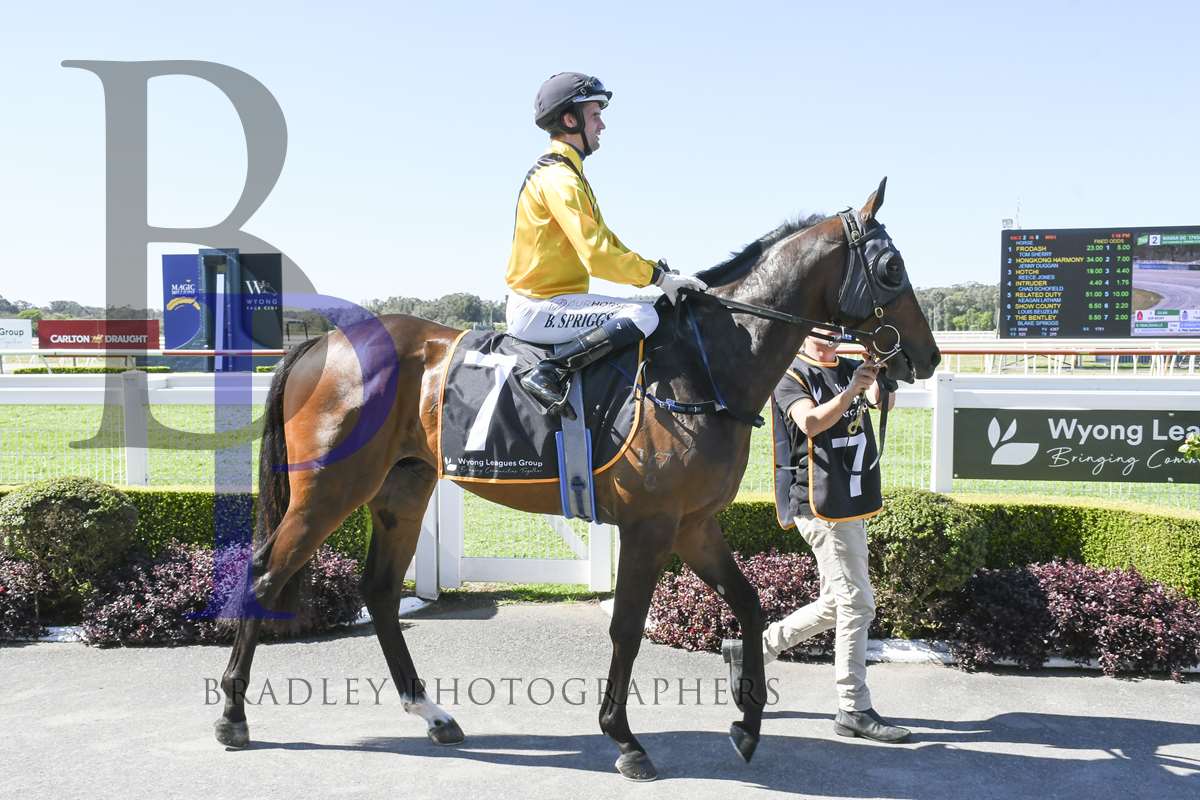 Minervini Racing (@minerviniracing) on Twitter photo THE BENTLEY (5g ex The Hamptons) is engaged at <a href="/port_races/">Port Macquarie Races</a> on Sunday. <a href="/Blanchy67153329/">Liam Blanch</a> rides in the <a href="/GoldenBachABC/">The Golden Bachelor</a> Maiden Plate over 1509m. <a href="/coolmorestud/">Coolmore</a> <a href="/TomMagnier/">Tom Magnier Coolmore</a> <a href="/coolmoreamerica/">Coolmore America</a> <a href="/CoolmoreAus/">Coolmore Australia</a> <a href="/ZhongliTBreds/">Zhongli Thoroughbreds Pty Ltd</a> <a href="/WestburyStud/">Westbury Stud</a> <a href="/mmsnippets/">Magic Millions</a> <a href="/Bradley_Photos/">Bradley Photos</a> <a href="/inglis_sales/">Inglis</a> THE BENTLEY (5g ex The Hamptons) is engaged at <a href="/port_races/">Port Macquarie Races</a> on Sunday. <a href="/Blanchy67153329/">Liam Blanch</a> rides in the <a href="/GoldenBachABC/">The Golden Bachelor</a> Maiden Plate over 1509m. <a href="/coolmorestud/">Coolmore</a> <a href="/TomMagnier/">Tom Magnier Coolmore</a> <a href="/coolmoreamerica/">Coolmore America</a> <a href="/CoolmoreAus/">Coolmore Australia</a> <a href="/ZhongliTBreds/">Zhongli Thoroughbreds Pty Ltd</a> <a href="/WestburyStud/">Westbury Stud</a> <a href="/mmsnippets/">Magic Millions</a> <a href="/Bradley_Photos/">Bradley Photos</a> <a href="/inglis_sales/">Inglis</a>