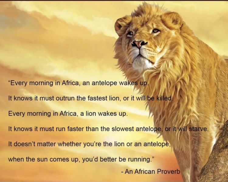 Coach Napier (@coachnapierrush) on Twitter photo 