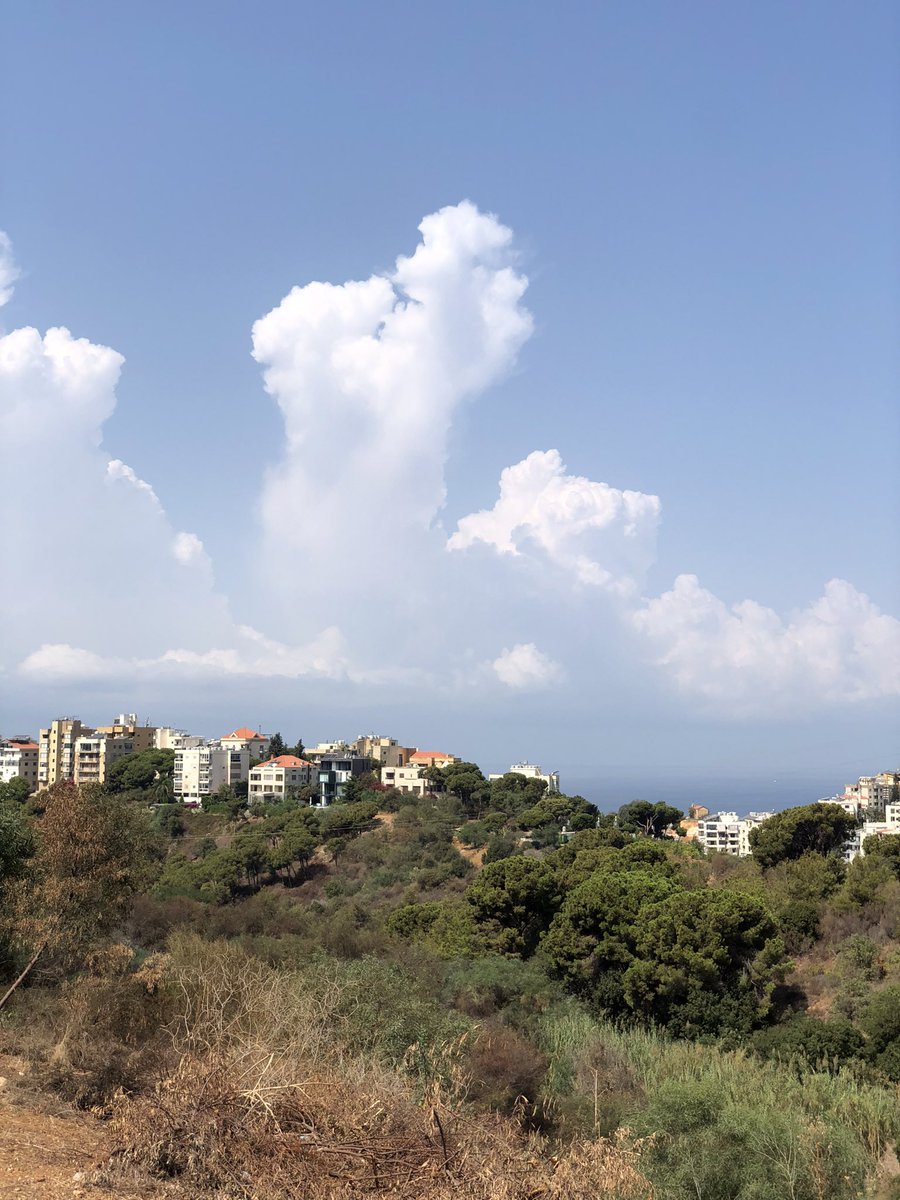 Good morning X-Friends…🌷☕️
Have a happy Friday and a beautiful weekend 🏠🌳⛅️🩵🤍
My photo 📸

#FridayMorning 🌷 #CoffeeTime ☕️ #NatureBeauty 🌳 #WeekendVibes ☁️ #StayPositive 🩵 #PeaceAndLove 🕊️