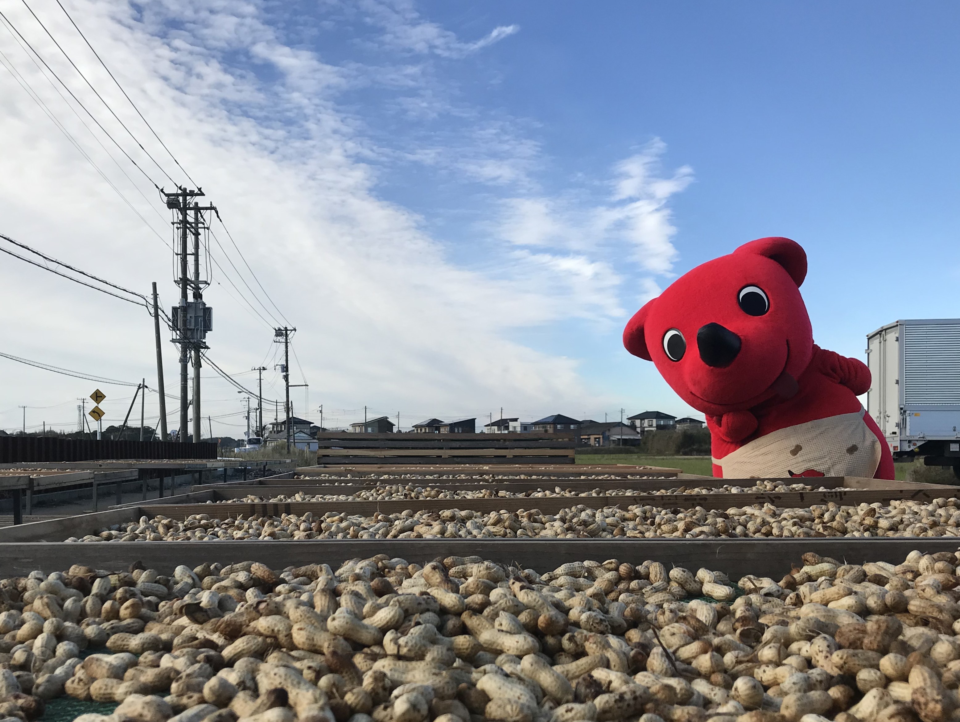 チーバくんまとめ買いページ チーバくん E-mook | HMV&BOOKS online - 9784800228215
