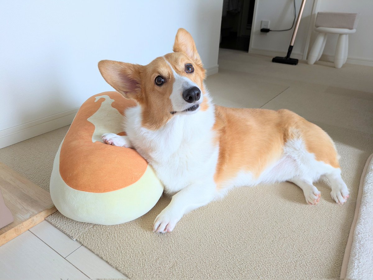 サブ垢フォロワー1000人ありがとうございます😊
全く動かしてないにも関わらず、フォローしていただき感謝しかないです✨
たまには動かします(ﾎﾝﾄｶﾖ💦）