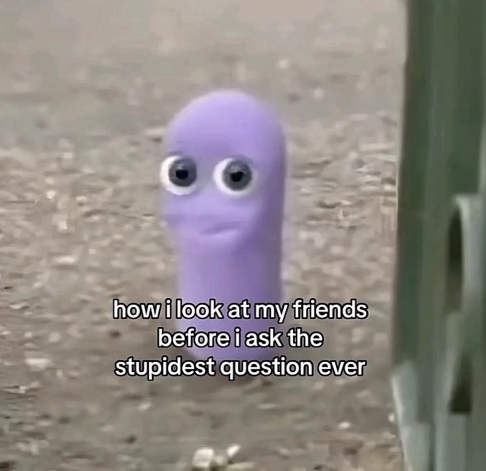 raccoon aesthetic. (@raccoonesthetic) on Twitter photo 