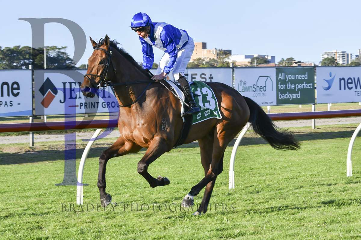 Minervini Racing (@minerviniracing) on Twitter photo KING'S DUTY (6g ex Shemai NZ) is engaged <a href="/port_races/">Port Macquarie Races</a> on Sunday. Ben Looker rides in the <a href="/WINTELEVISION/">WIN TELEVISION</a> <a href="/WINNews_Woll/">WIN News Illawarra</a> Port Macquarie Cup Prelude over 1812m. <a href="/BaramulStud/">Baramul Stud</a> <a href="/Oaklandsstud/">Oaklands Stud</a> <a href="/mmsnippets/">Magic Millions</a> <a href="/Bradley_Photos/">Bradley Photos</a> KING'S DUTY (6g ex Shemai NZ) is engaged <a href="/port_races/">Port Macquarie Races</a> on Sunday. Ben Looker rides in the <a href="/WINTELEVISION/">WIN TELEVISION</a> <a href="/WINNews_Woll/">WIN News Illawarra</a> Port Macquarie Cup Prelude over 1812m. <a href="/BaramulStud/">Baramul Stud</a> <a href="/Oaklandsstud/">Oaklands Stud</a> <a href="/mmsnippets/">Magic Millions</a> <a href="/Bradley_Photos/">Bradley Photos</a>