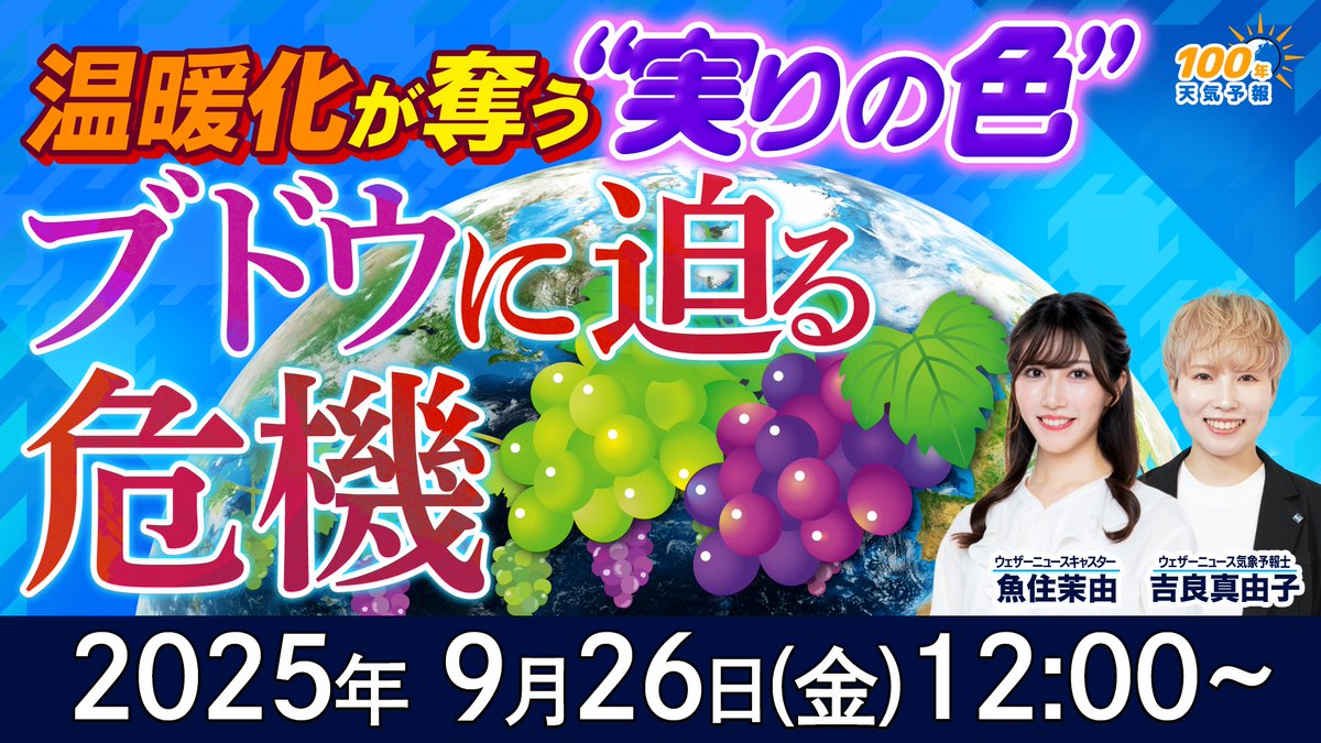 ピョンキチページ 栃木屋EC_抜差旗蝶番: ヒンジ