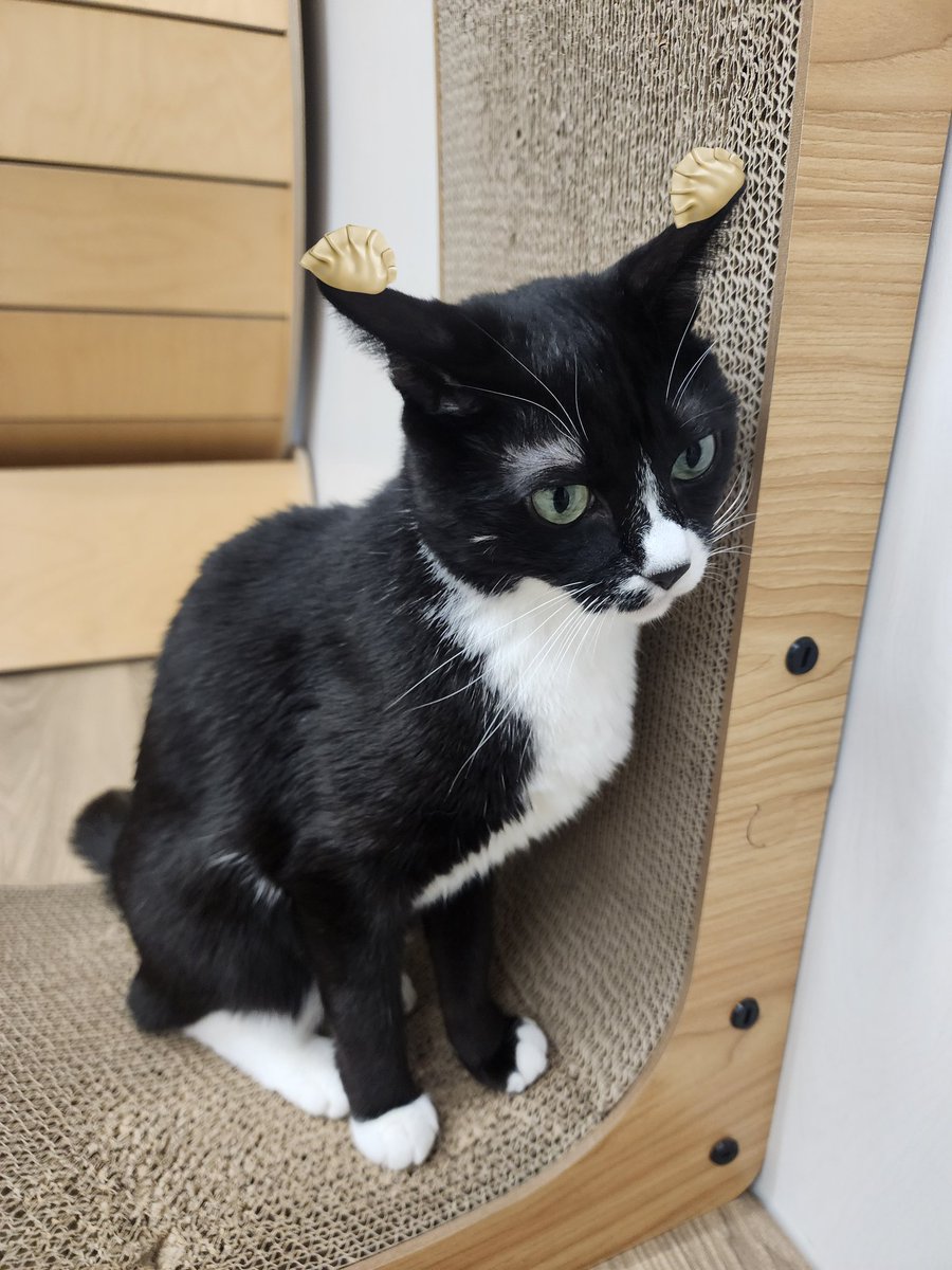 🐻참두만🦅 (@game_ccd) on Twitter photo 