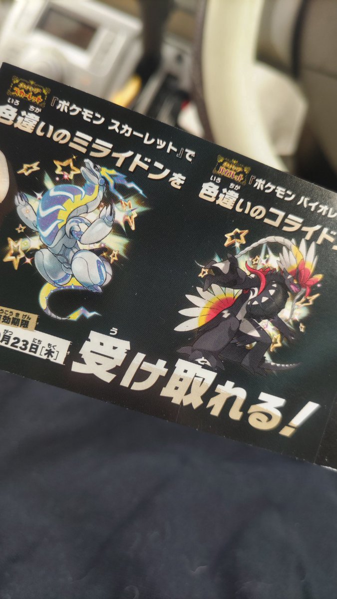 もちろん貰ってきた！