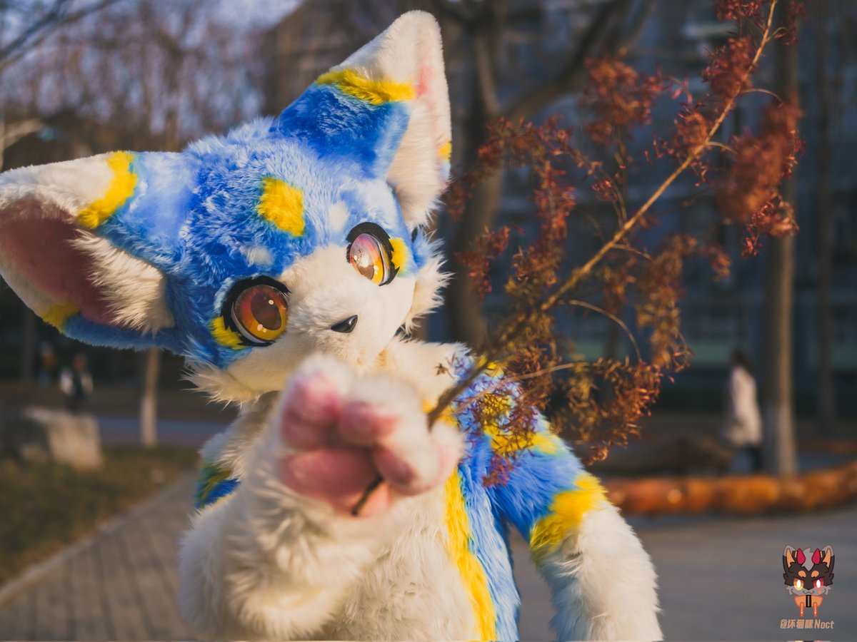 #FursuitFriday
看！是秋天的信号！
📷：<a href="/MeocTuT/">夜喵喵喵🔜重生兽聚</a>