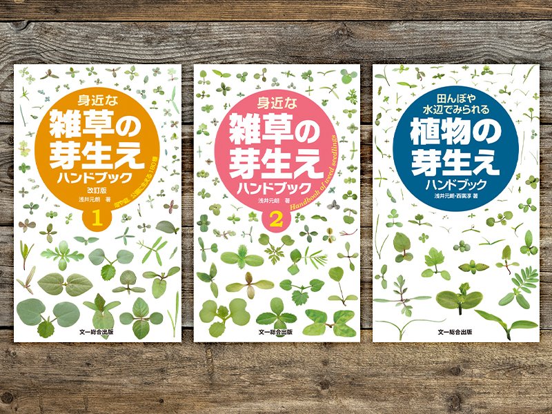 雑草大鑑 浅井元朗著 植調雑草大鑑/浅井元朗 : bookfanプレミアム - 通販 - Yahoo