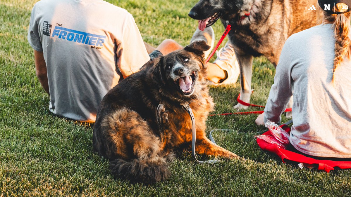 Thank you for bringing your hounds to Hibner 🐾🐕