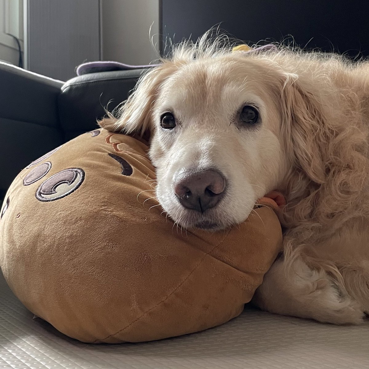 ruby_sm_'s tweet image. 