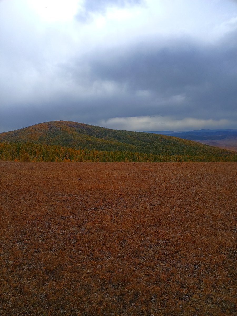 Суут хөгжмийн зохиолч Мөрдорж гуайн хөгжмийг татаж авна гэдэг бас л нэг эрдэм шүү гэж яриад л тэнэж явна даа.