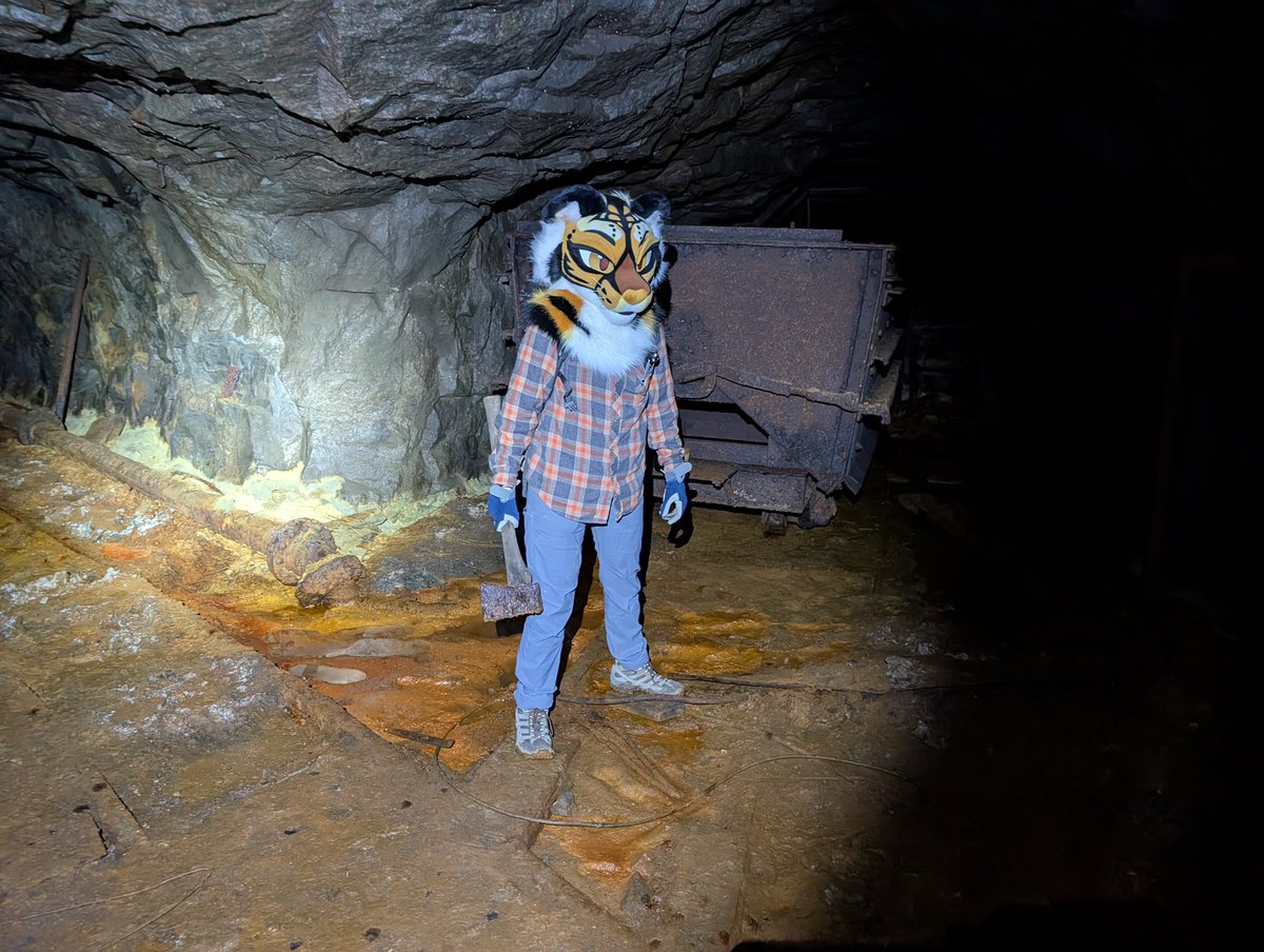 🌵Animal style Potato 🥔 (@alktinox) on Twitter photo 