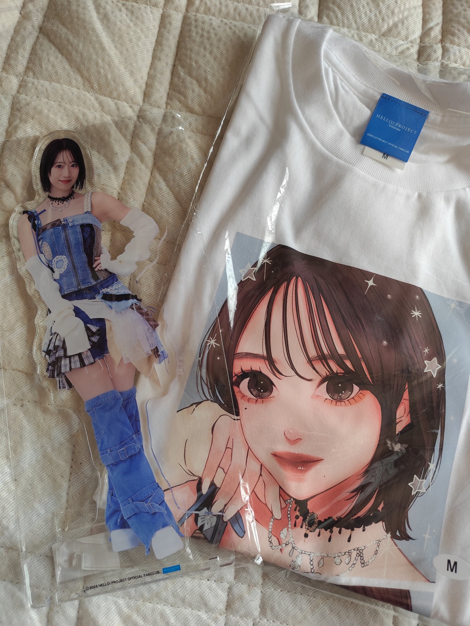 ❀.*・゜✿゜:。*ちょこっと様リクエスト❀.*・゜✿゜:。* DaDa⊿🪩 on X: 