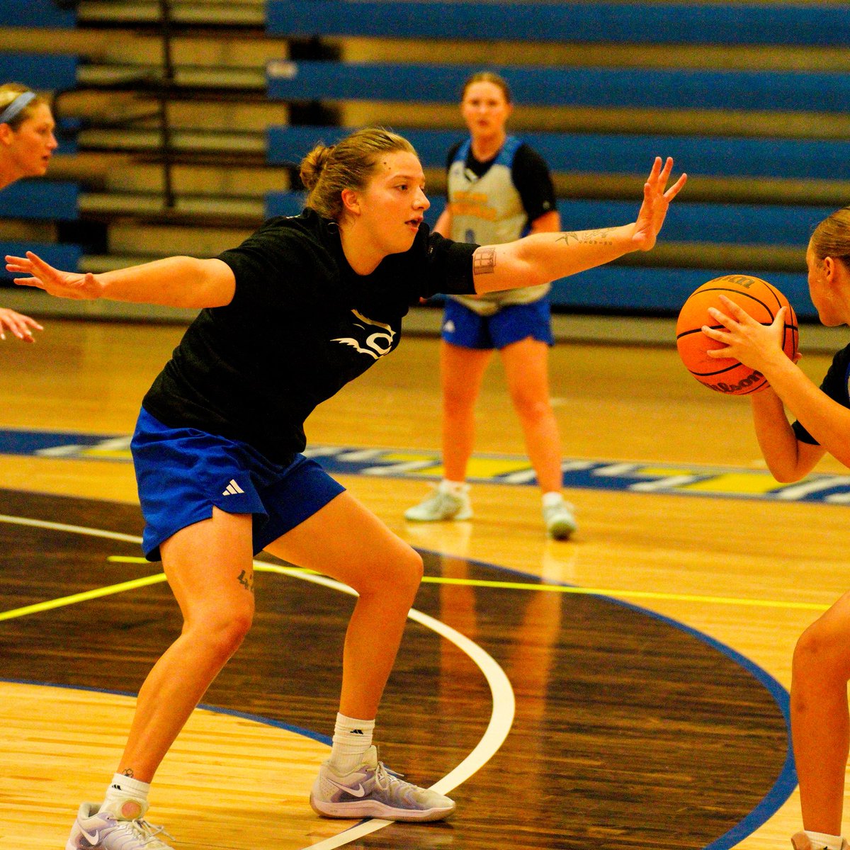 Javelina Women’s Basketball 🏀🐗 tweet media