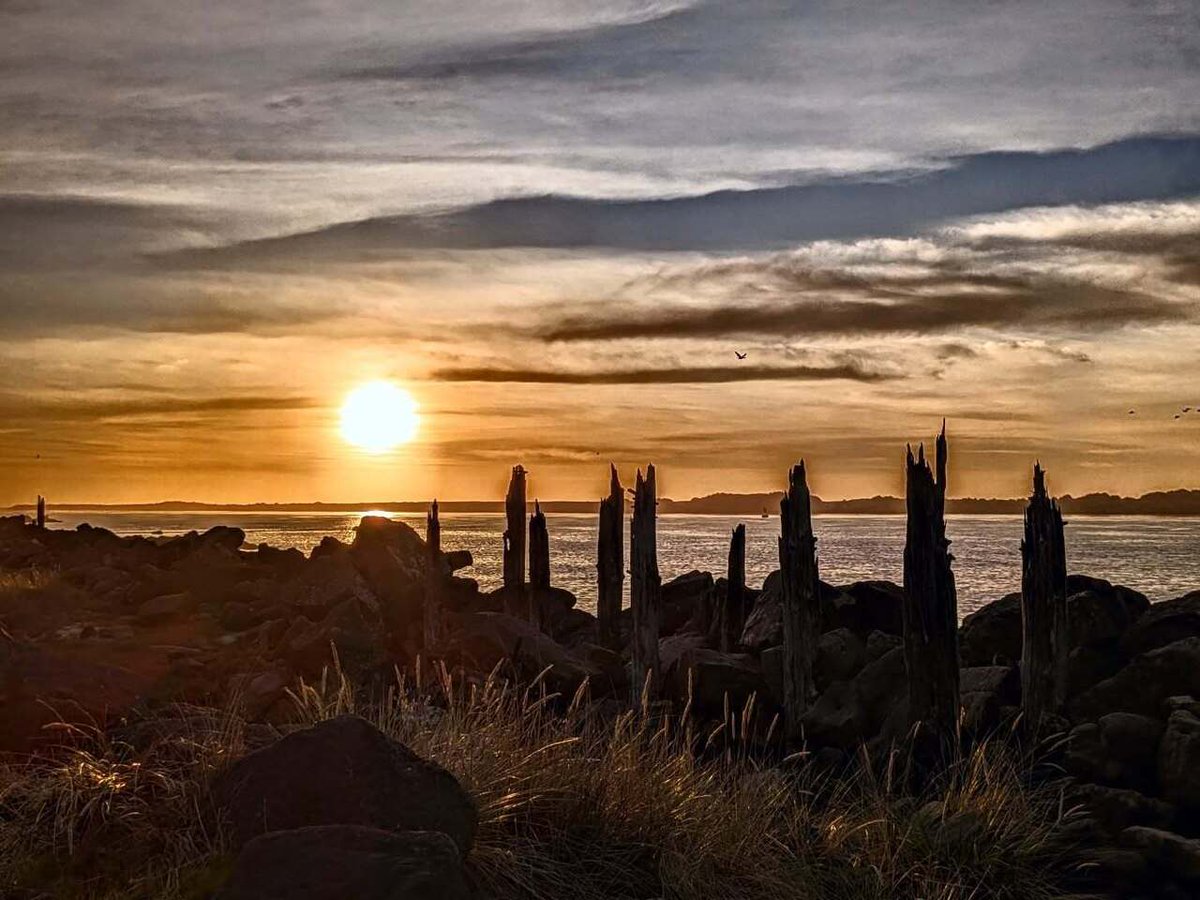 leerogers's tweet photo. Oregon #sunsets https://t.co/4D073xezvW