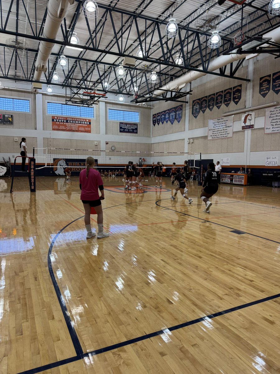 Brandeis Volleyball tweet media