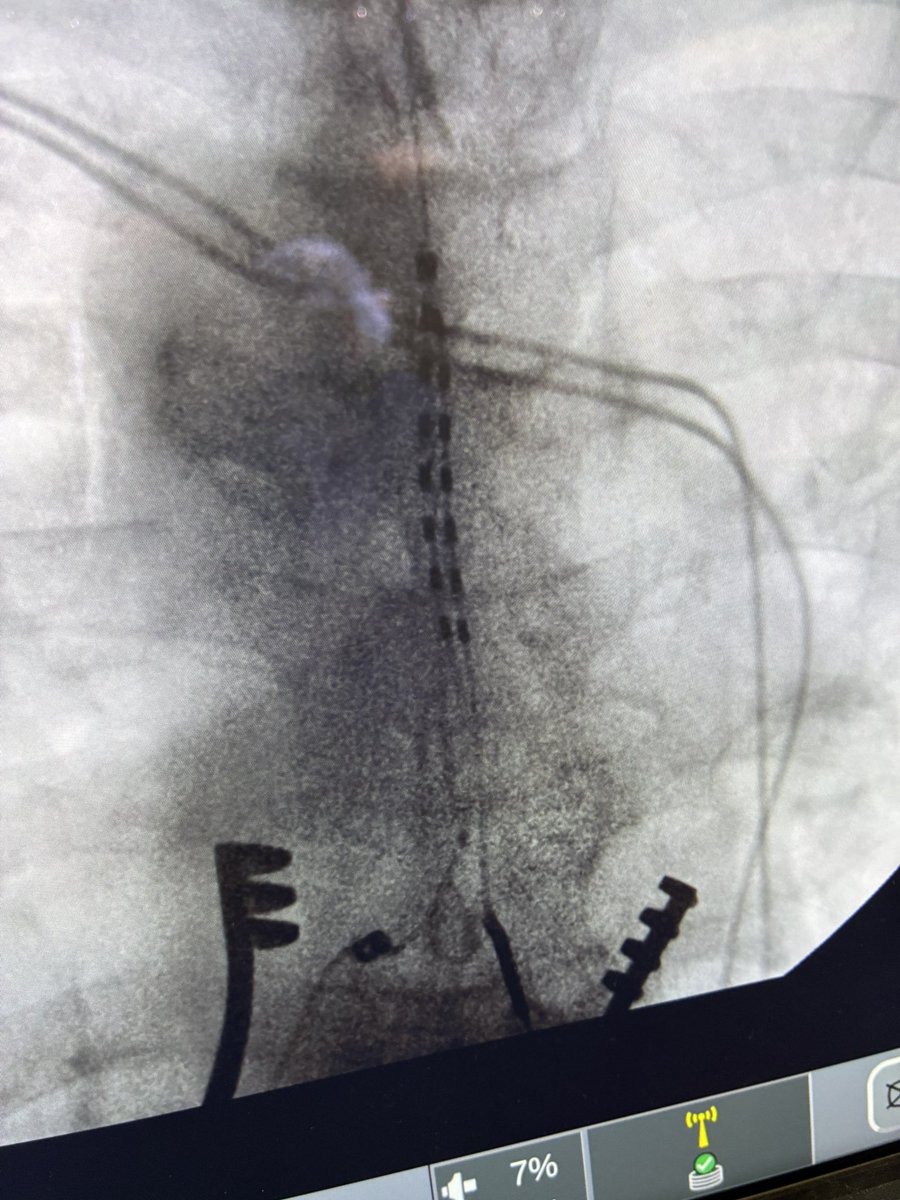 Michael Staudt tweet media