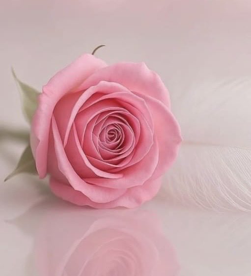 Good morning friends…
Have a great day ❤️🙏