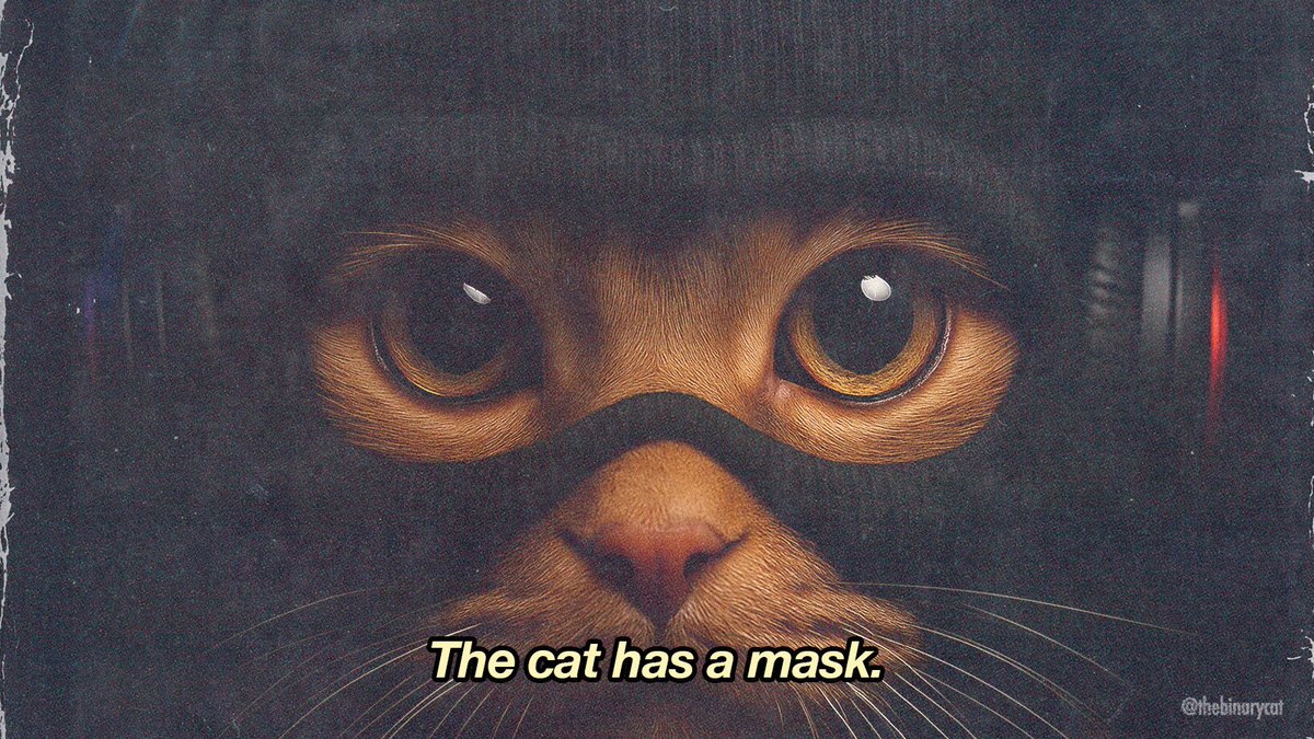 Day 47: The cat has a $MASK.
