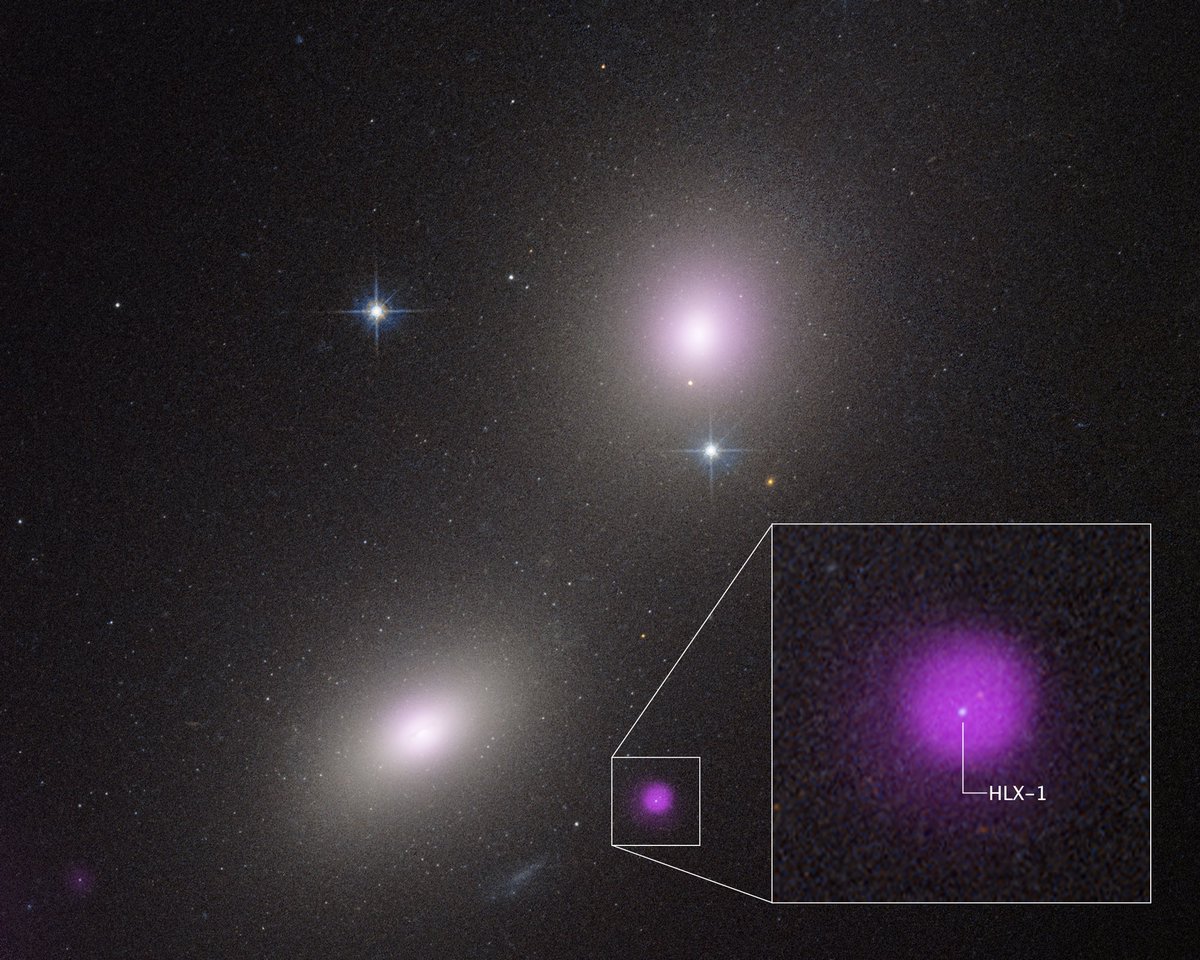 NTHU_TAIWAN's tweet photo. 🌌Ever seen a black hole having dinner? 🍽️
Prof. Albert Kong from NTHU in Taiwan led an international team that observed NGC 6099 HLX-1 devouring a star 🌟 — a rare intermediate-mass black hole, featured on @NASA 🚀
🎥Video via NASA: https://t.co/SwR1OSccl6
#NTHU #NASA #blackhole https://t.co/K3LLYDGdc4