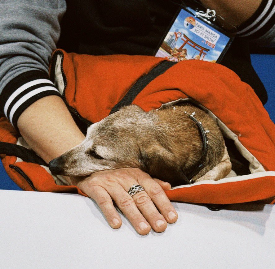 Mark Pellegrino tweet media