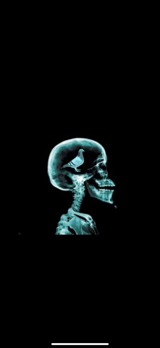 Issac011's tweet image. 