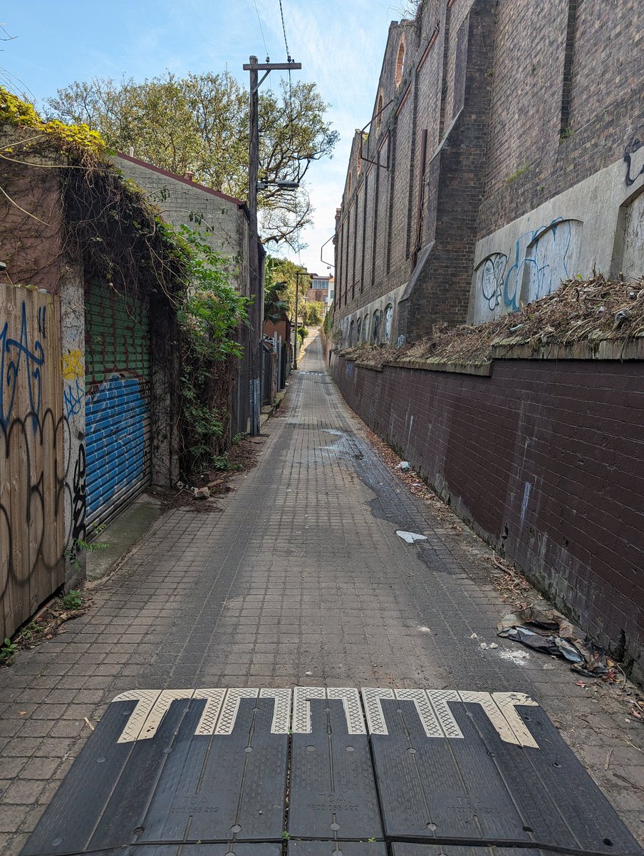 I need to go take more fursuit photos in random alley ways like this